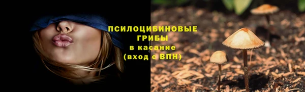прущий лед Алексеевка