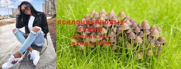 дмт Алексин