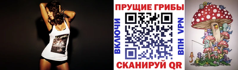 Галлюциногенные грибы Psilocybe Бронницы